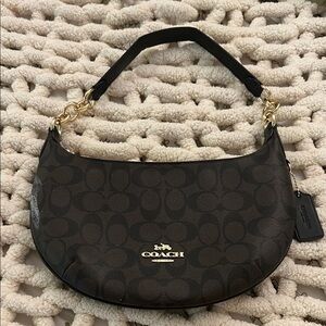 Coach Payton Hobo Bag